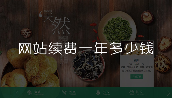 企业网站续费一年多少钱？